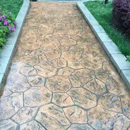 濱州彩色壓印地坪模具謀成團(tuán)隊(duì) 匠心鑄就地坪藝術(shù)新篇章